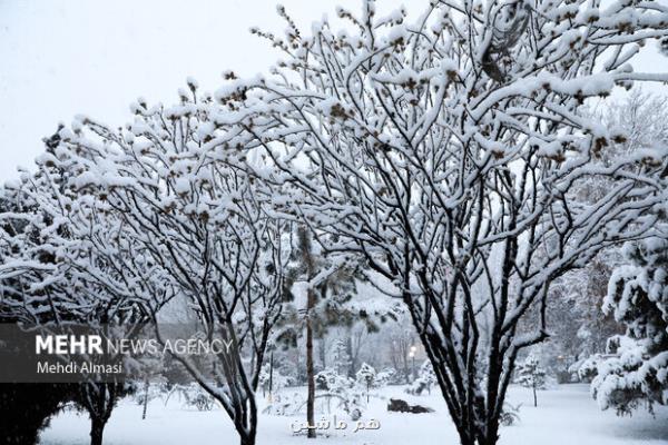 هواشناسی ایران ۲۵ آذر کدام استان ها برف می بارد؟